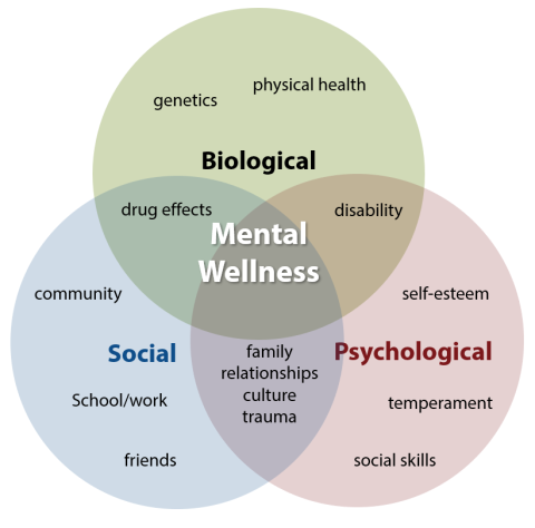 Venn diagram with examples of biological, psychological, and social factors that contribute to mental wellness.